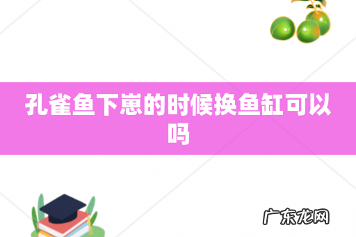 孔雀鱼下崽的时候换鱼缸可以吗