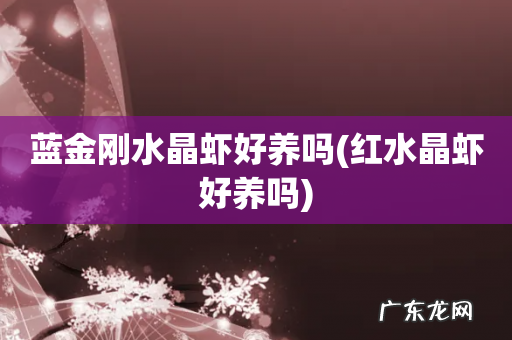 红水晶虾好养吗 蓝金刚水晶虾好养吗