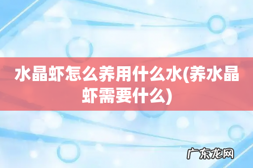 养水晶虾需要什么 水晶虾怎么养用什么水