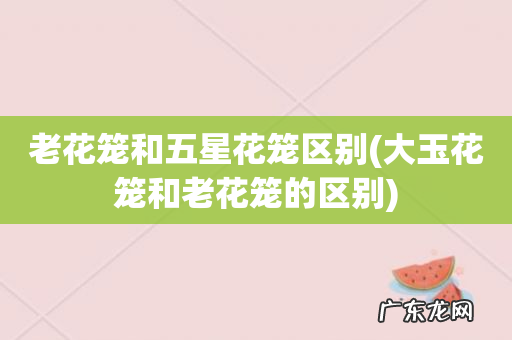 大玉花笼和老花笼的区别 老花笼和五星花笼区别