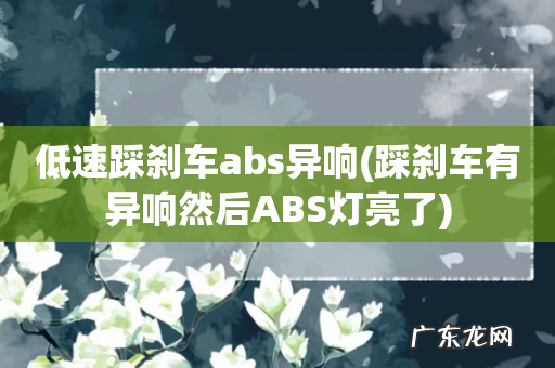 踩刹车有异响然后ABS灯亮了 低速踩刹车abs异响