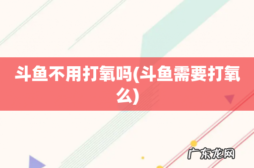 斗鱼需要打氧么 斗鱼不用打氧吗
