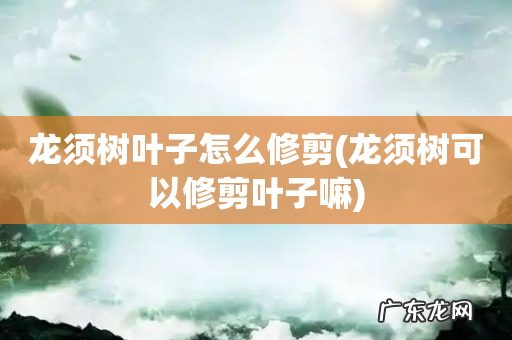 龙须树可以修剪叶子嘛 龙须树叶子怎么修剪