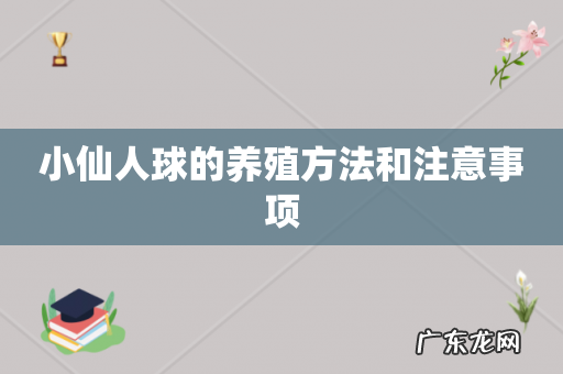 小仙人球的养殖方法和注意事项