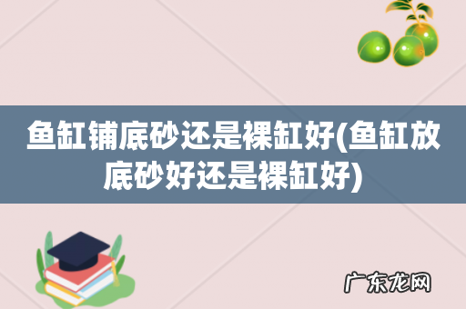 鱼缸放底砂好还是裸缸好 鱼缸铺底砂还是裸缸好