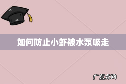 如何防止小虾被水泵吸走