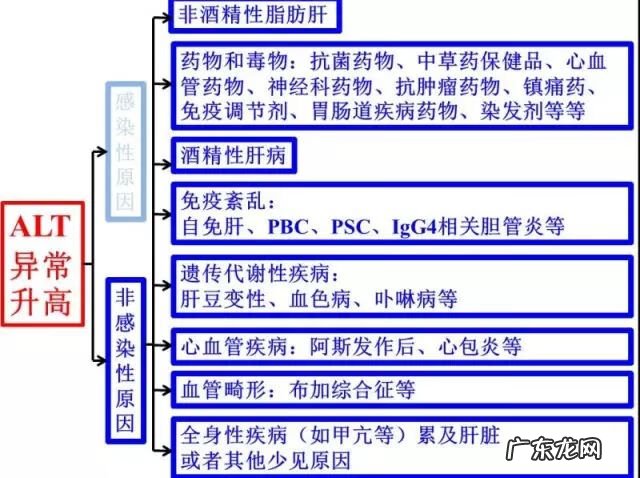 转氨酶高了是什么情况 转氨酶高是怎么回事儿