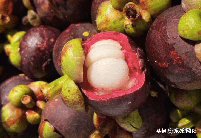 碱性水果排名 碱性水果有哪些