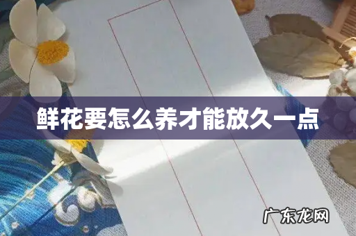 鲜花要怎么养才能放久一点