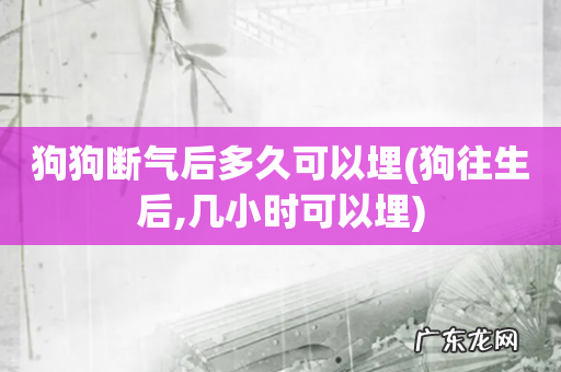 狗往生后,几小时可以埋 狗狗断气后多久可以埋