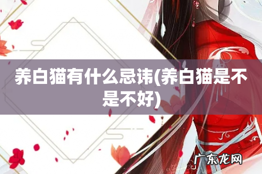 养白猫是不是不好 养白猫有什么忌讳