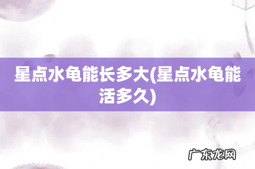 星点水龟能活多久 星点水龟能长多大