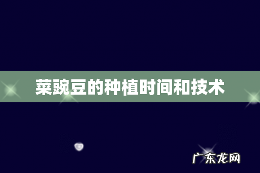 菜豌豆的种植时间和技术