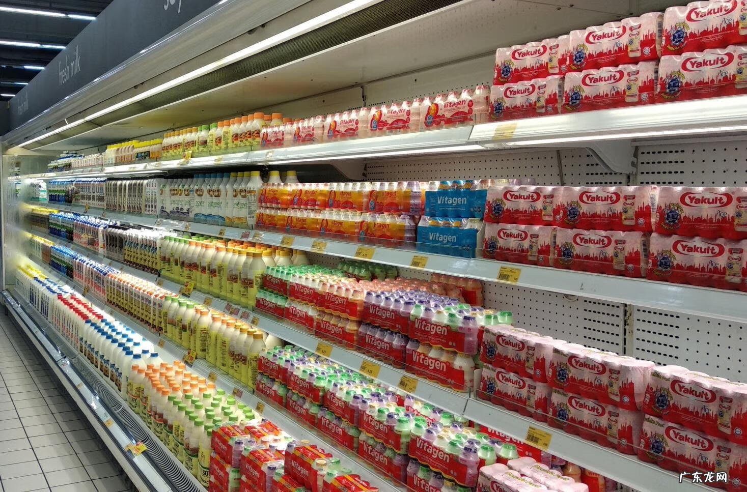 益生菌哪个牌子的最好质量最过关 益生菌哪个品牌的比较好一点