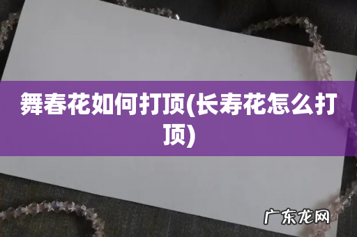 长寿花怎么打顶 舞春花如何打顶