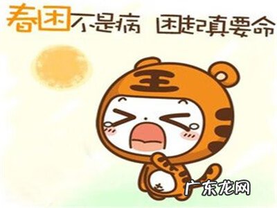 红参有什么功效 高丽参有什么功效和作用