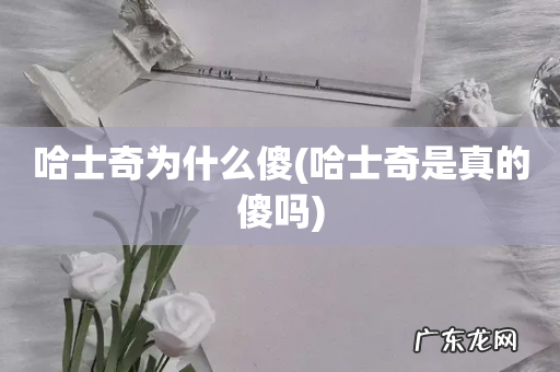 哈士奇是真的傻吗 哈士奇为什么傻