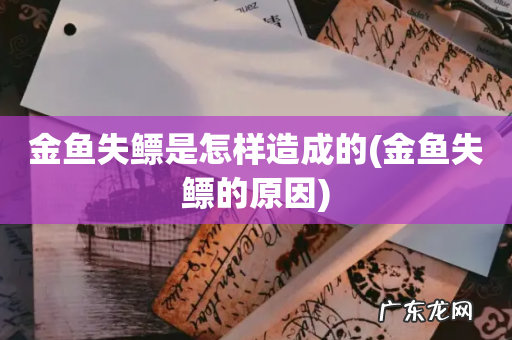 金鱼失鳔的原因 金鱼失鳔是怎样造成的