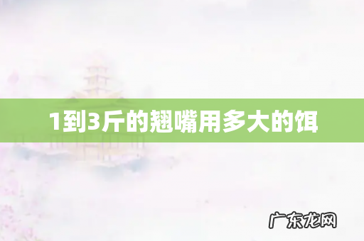 1到3斤的翘嘴用多大的饵