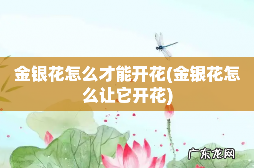 金银花怎么让它开花 金银花怎么才能开花