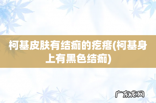 柯基身上有黑色结痂 柯基皮肤有结痂的疙瘩