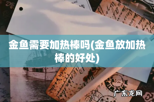 金鱼放加热棒的好处 金鱼需要加热棒吗