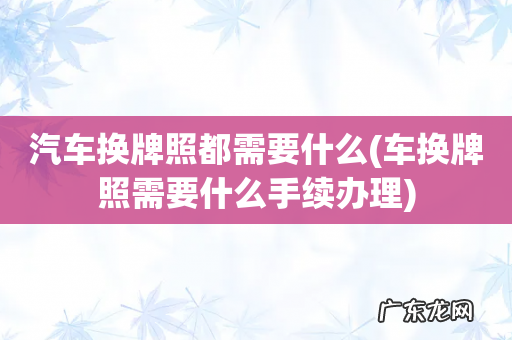 车换牌照需要什么手续办理 汽车换牌照都需要什么