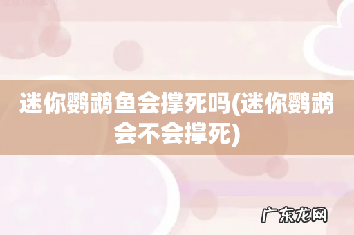 迷你鹦鹉会不会撑死 迷你鹦鹉鱼会撑死吗