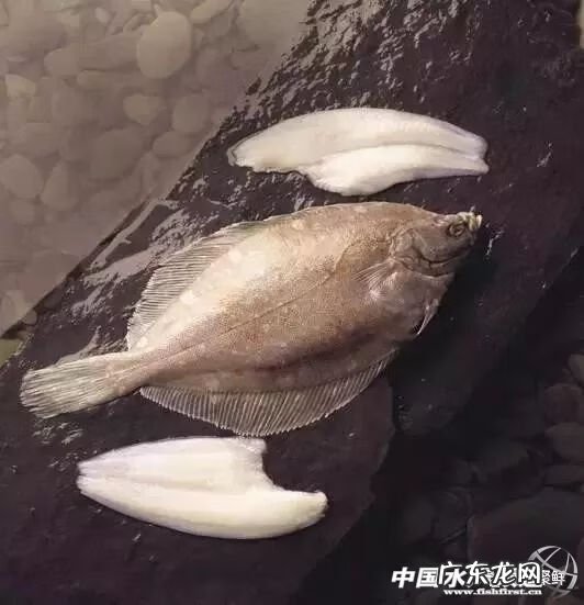 鲽鱼做法 鲽鱼是什么鱼