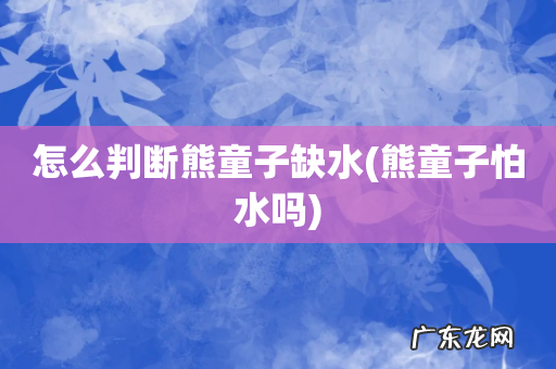 熊童子怕水吗 怎么判断熊童子缺水