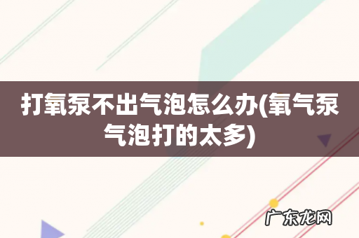 氧气泵气泡打的太多 打氧泵不出气泡怎么办