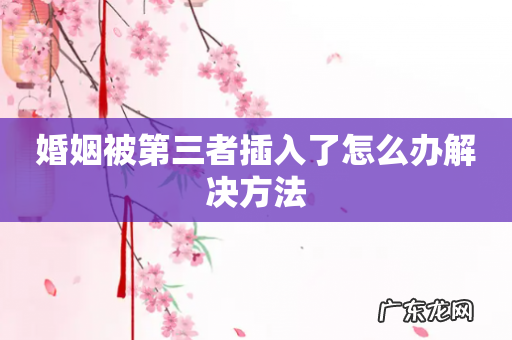 婚姻被第三者插入了怎么办解决方法