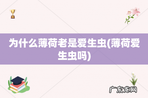 薄荷爱生虫吗 为什么薄荷老是爱生虫