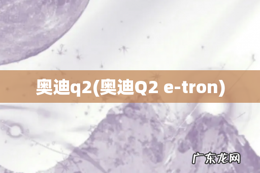 奥迪Q2 e-tron 奥迪q2