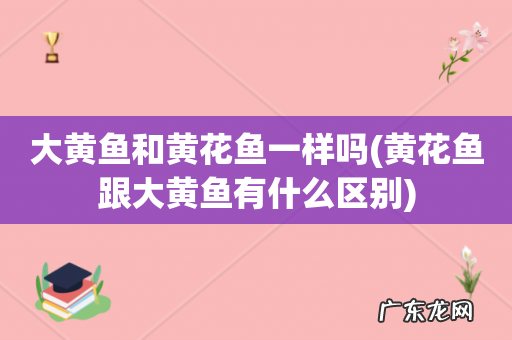 黄花鱼跟大黄鱼有什么区别 大黄鱼和黄花鱼一样吗