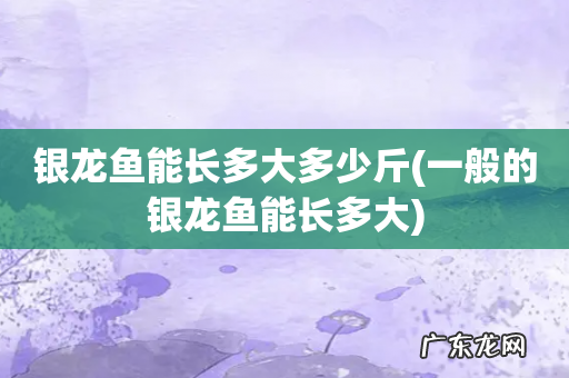 一般的银龙鱼能长多大 银龙鱼能长多大多少斤