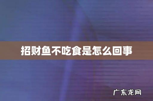 招财鱼不吃食是怎么回事