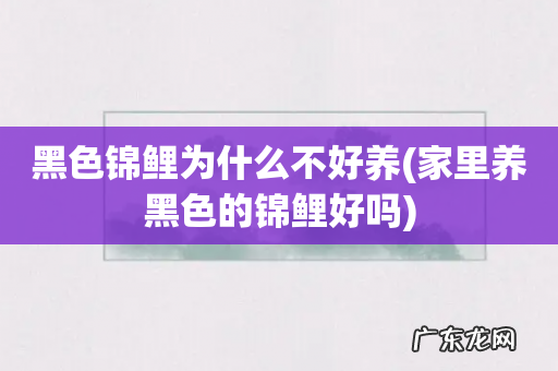 家里养黑色的锦鲤好吗 黑色锦鲤为什么不好养