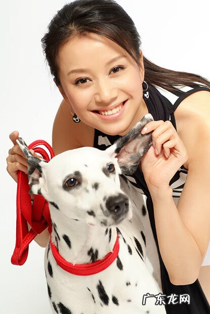 婷美塑身衣 婷美瘦身衣代言人