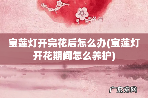 宝莲灯开花期间怎么养护 宝莲灯开完花后怎么办