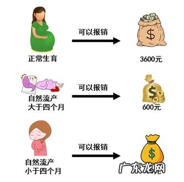 职工生育保险怎么报销 生育险怎么报销去哪里报销