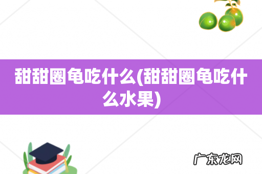 甜甜圈龟吃什么水果 甜甜圈龟吃什么