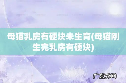 母猫刚生完乳房有硬块 母猫乳房有硬块未生育