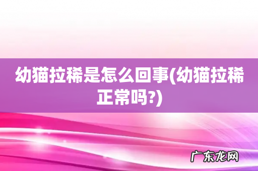 幼猫拉稀正常吗? 幼猫拉稀是怎么回事