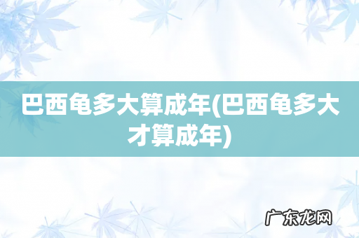 巴西龟多大才算成年 巴西龟多大算成年