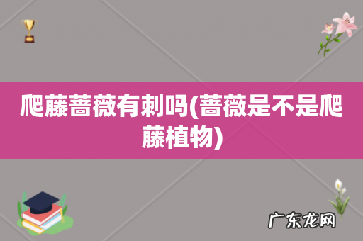 蔷薇是不是爬藤植物 爬藤蔷薇有刺吗