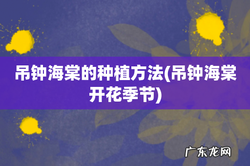 吊钟海棠开花季节 吊钟海棠的种植方法