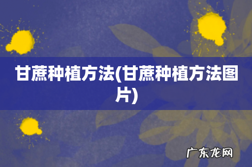 甘蔗种植方法图片 甘蔗种植方法