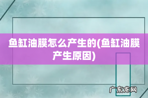 鱼缸油膜产生原因 鱼缸油膜怎么产生的