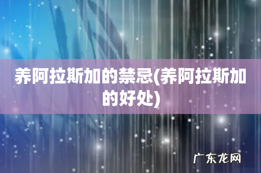 养阿拉斯加的好处 养阿拉斯加的禁忌